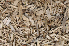 biomass boilers Timberland