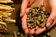 Timberland pellet boiler